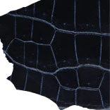 Duo - Image 2